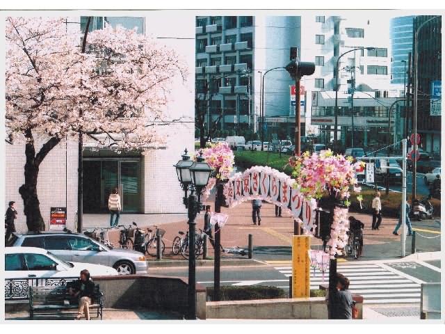 文京中央町会 写真