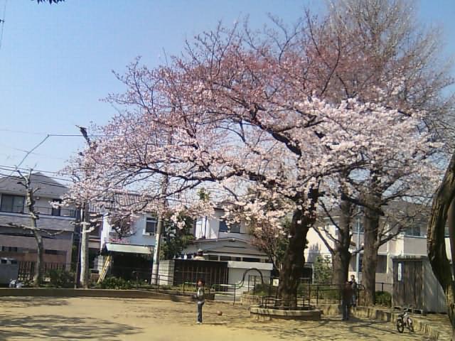 西片町会 写真