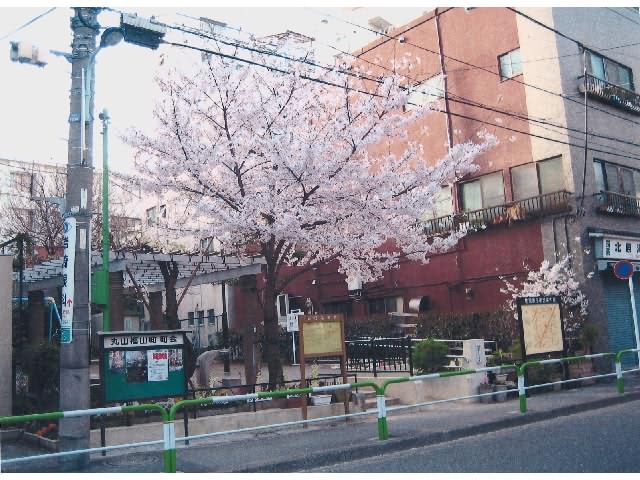 丸山福山町町会 写真
