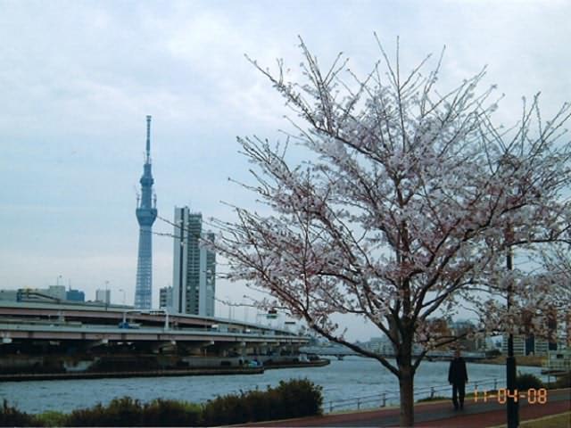 リバーパーク汐入町会 写真